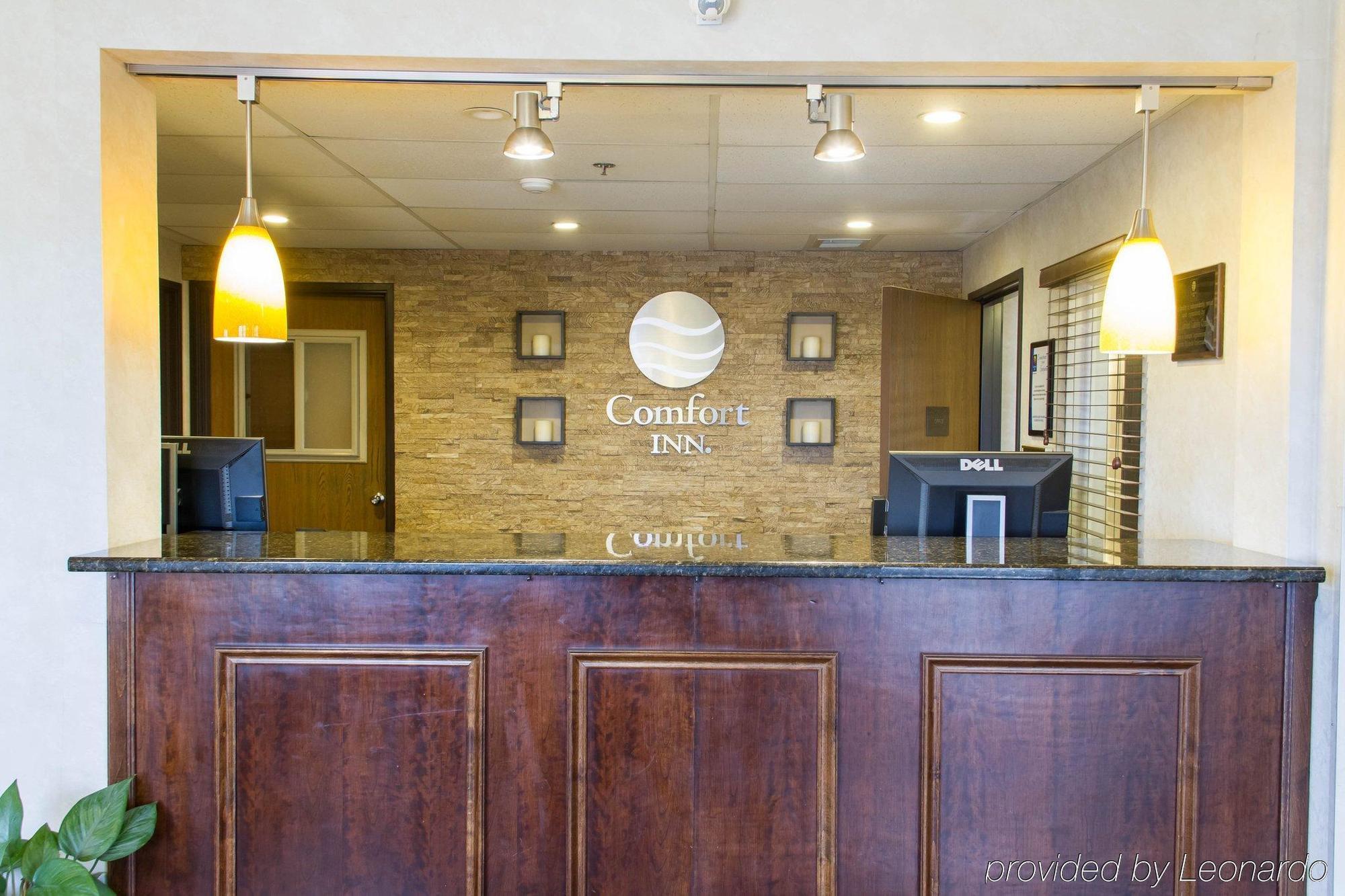 Comfort Inn Hastings Esterno foto