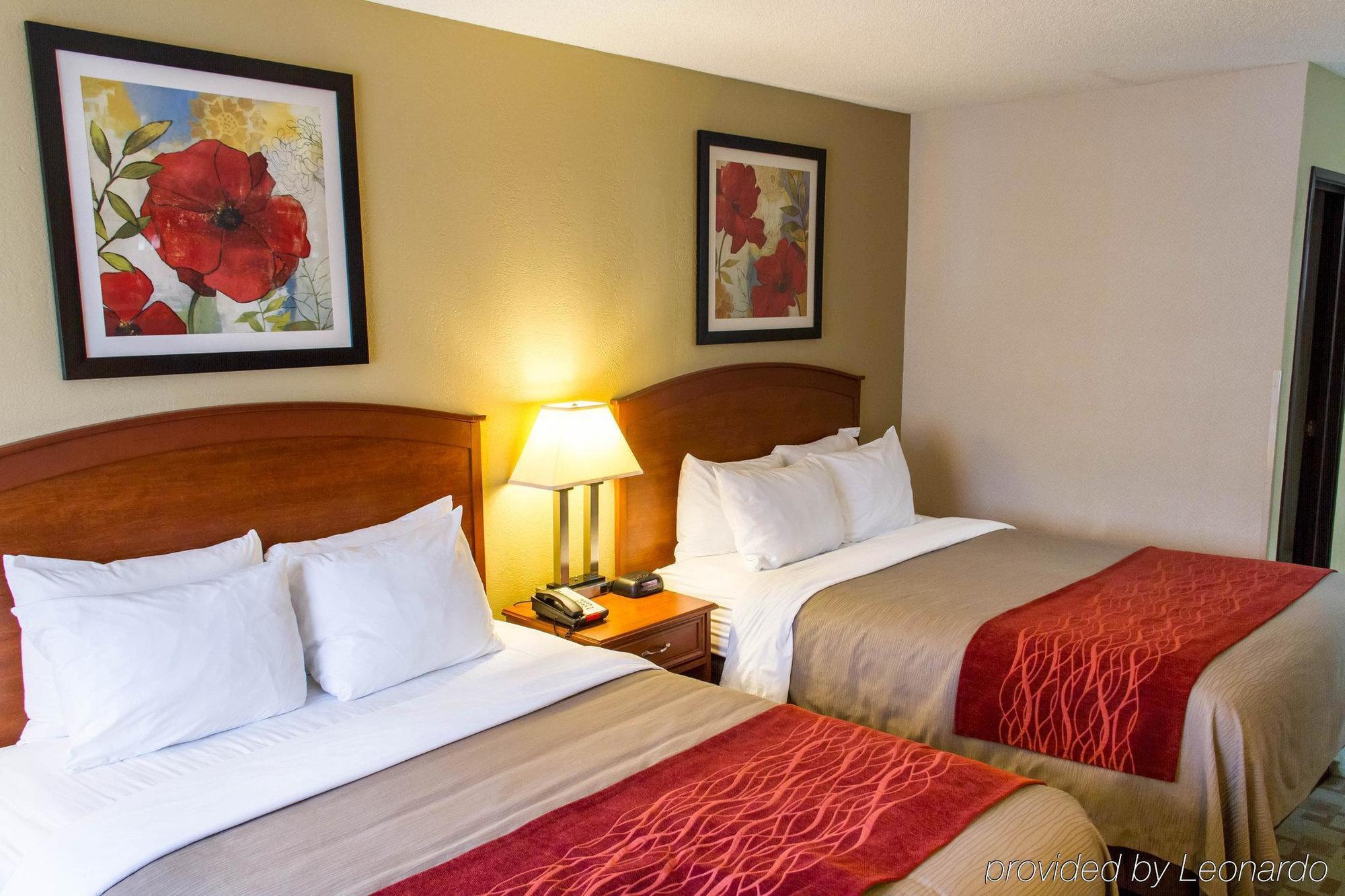 Comfort Inn Hastings Esterno foto
